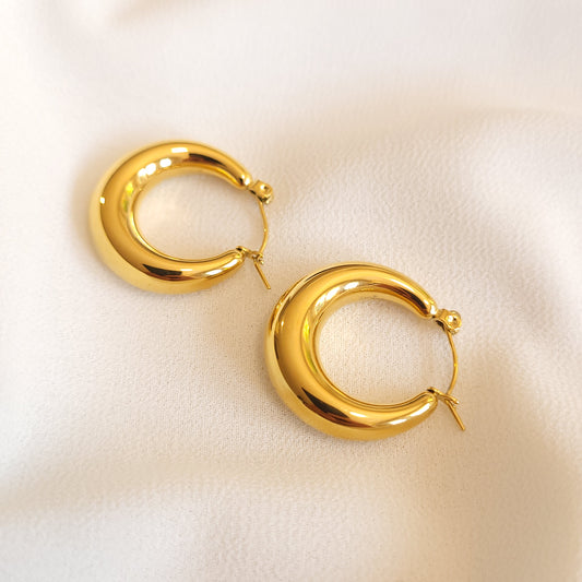 Bold Crescent Earrings